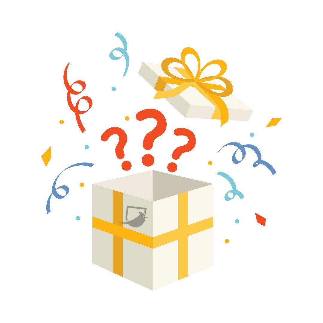 ๐๏ธ Surprise *Mystery* Gift